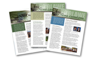newsletterss